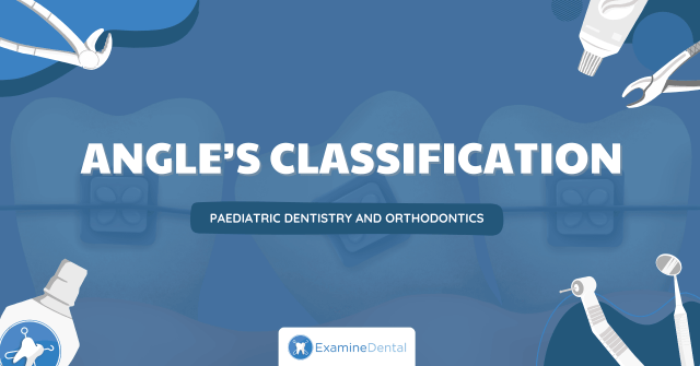 Angle's Classification of Malocclusions Angle's Classification