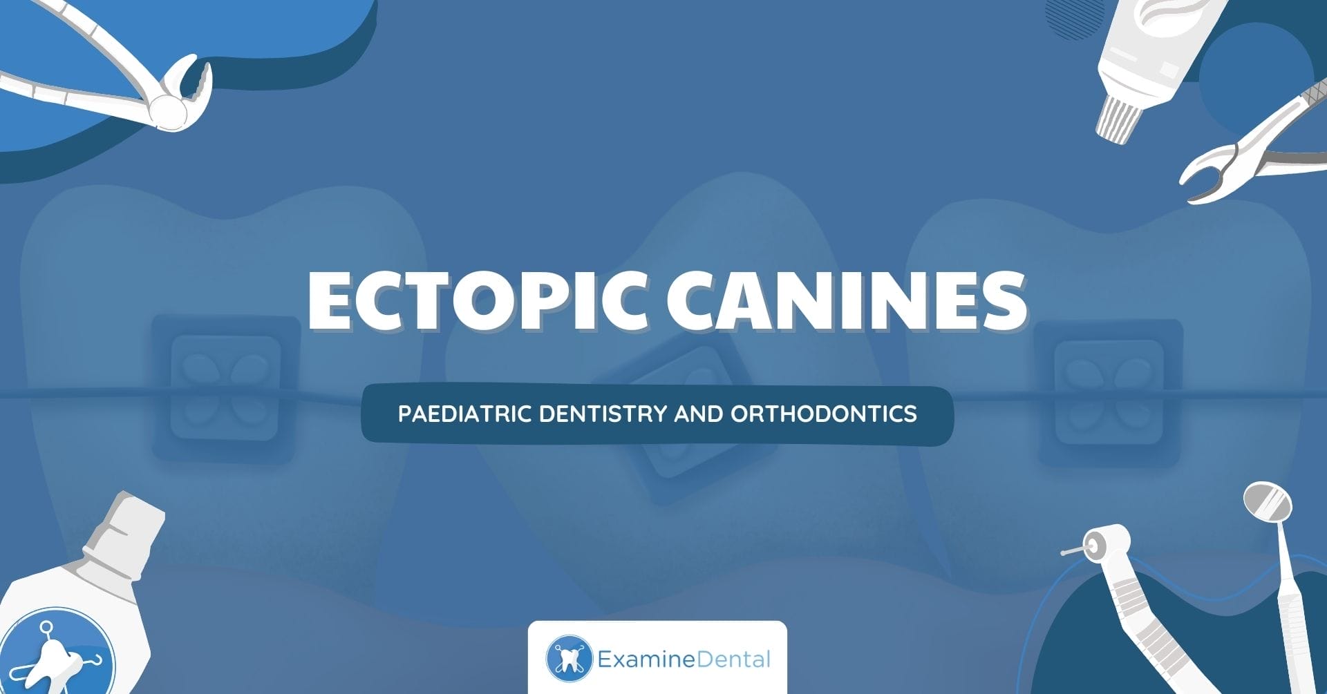 Ectopic Canines