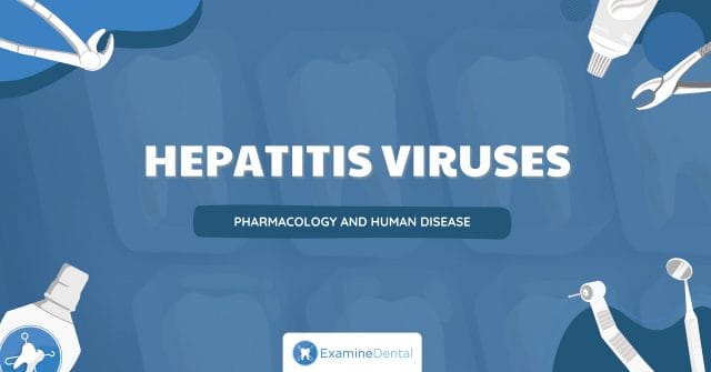 Hepatitis Viruses Hepatitis Viruses